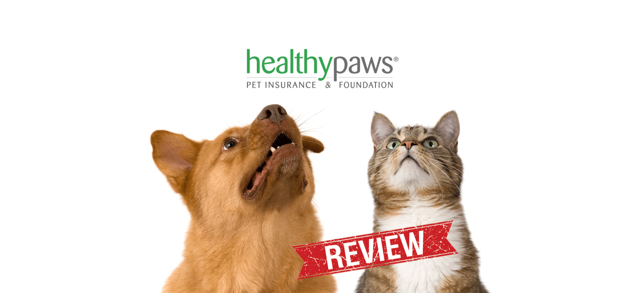 Healthy Paws Pet Insurance Review 2025: Is It the Best Option for Your ... Healthy Paws Pet Insurance Review 2025: Is It the Best Option for Your ...
